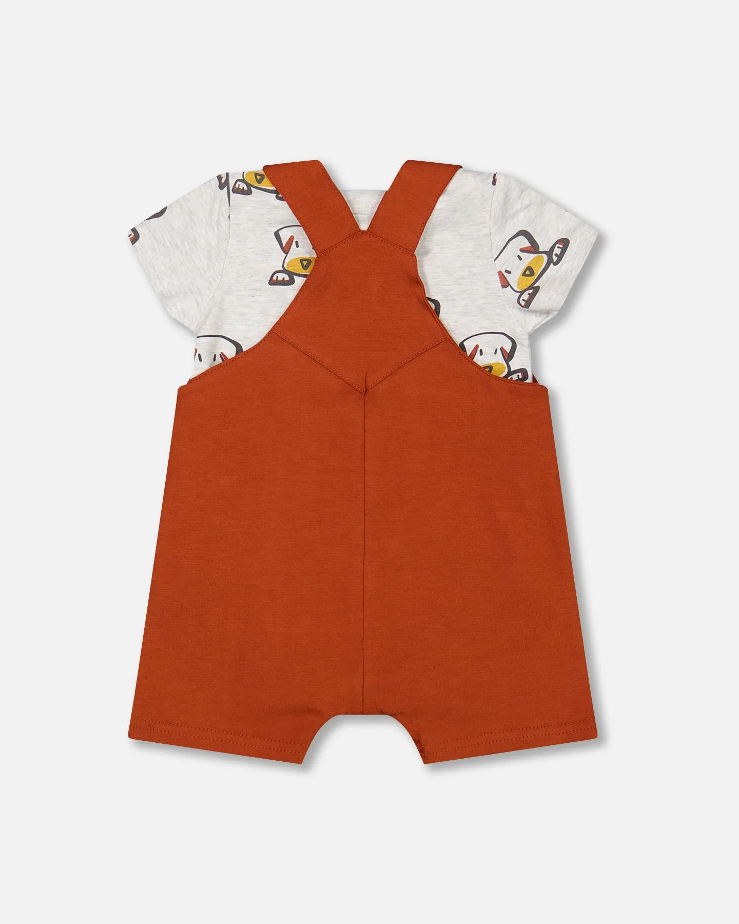 2 Piece Dog Bodysuit & Bib Shorts