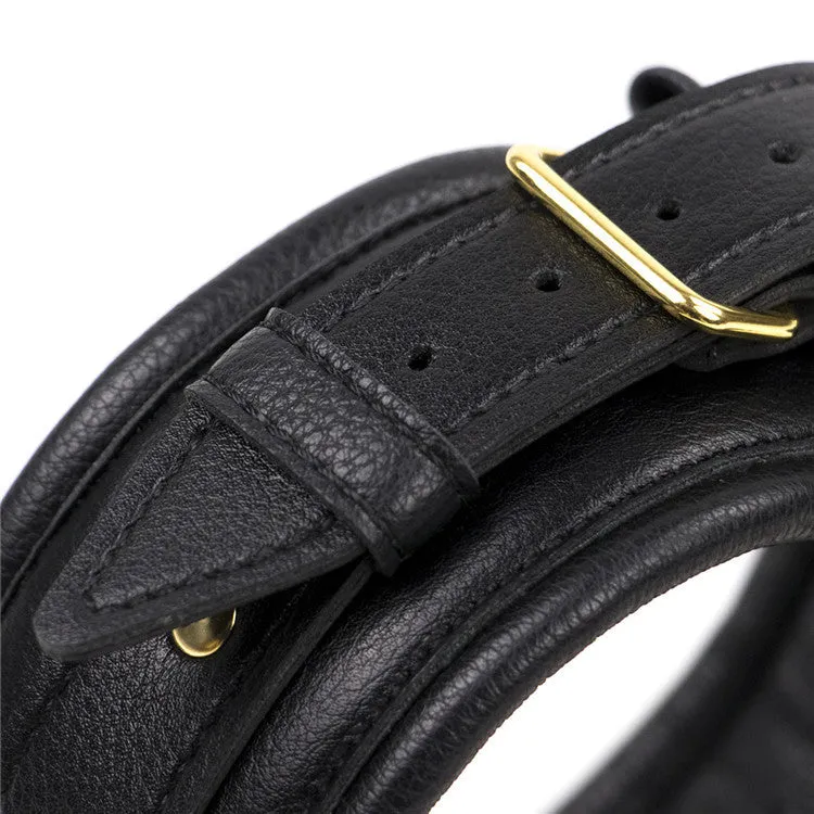 Black Faux Leather Gold Toned Collar and Lead