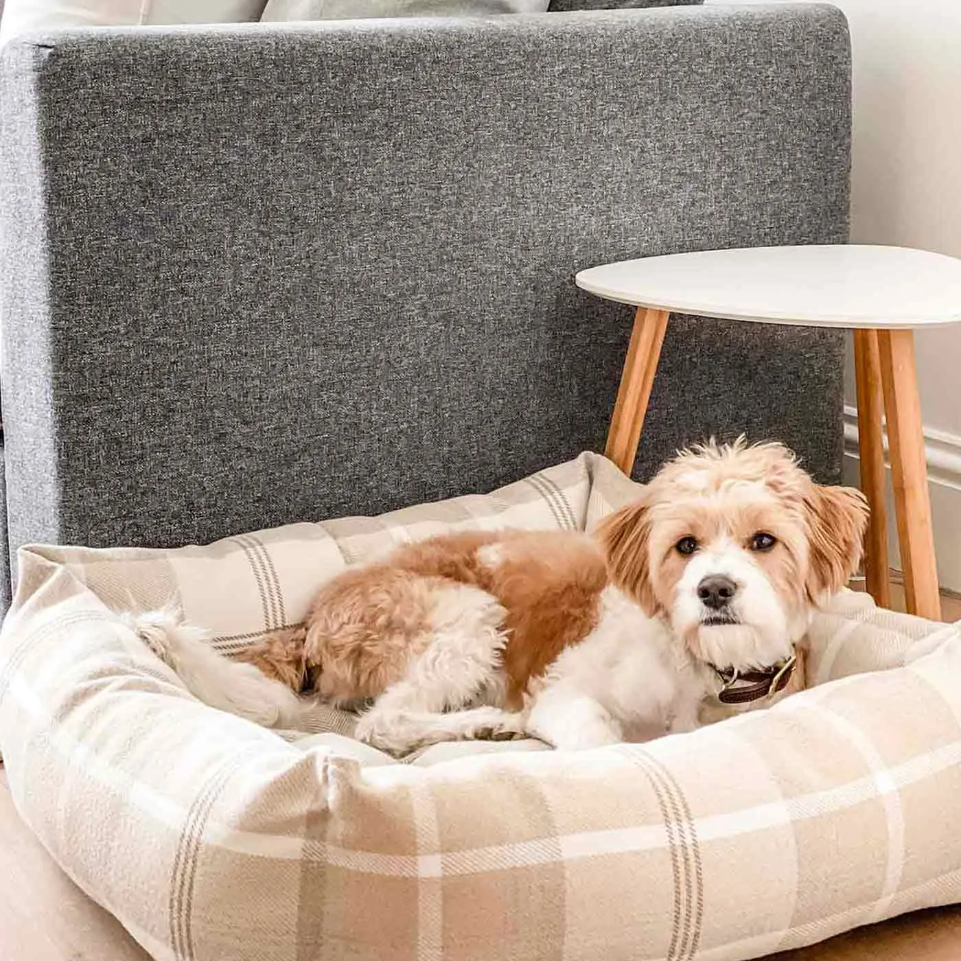 Box Bed in Balmoral Tweed by Lords & Labradors