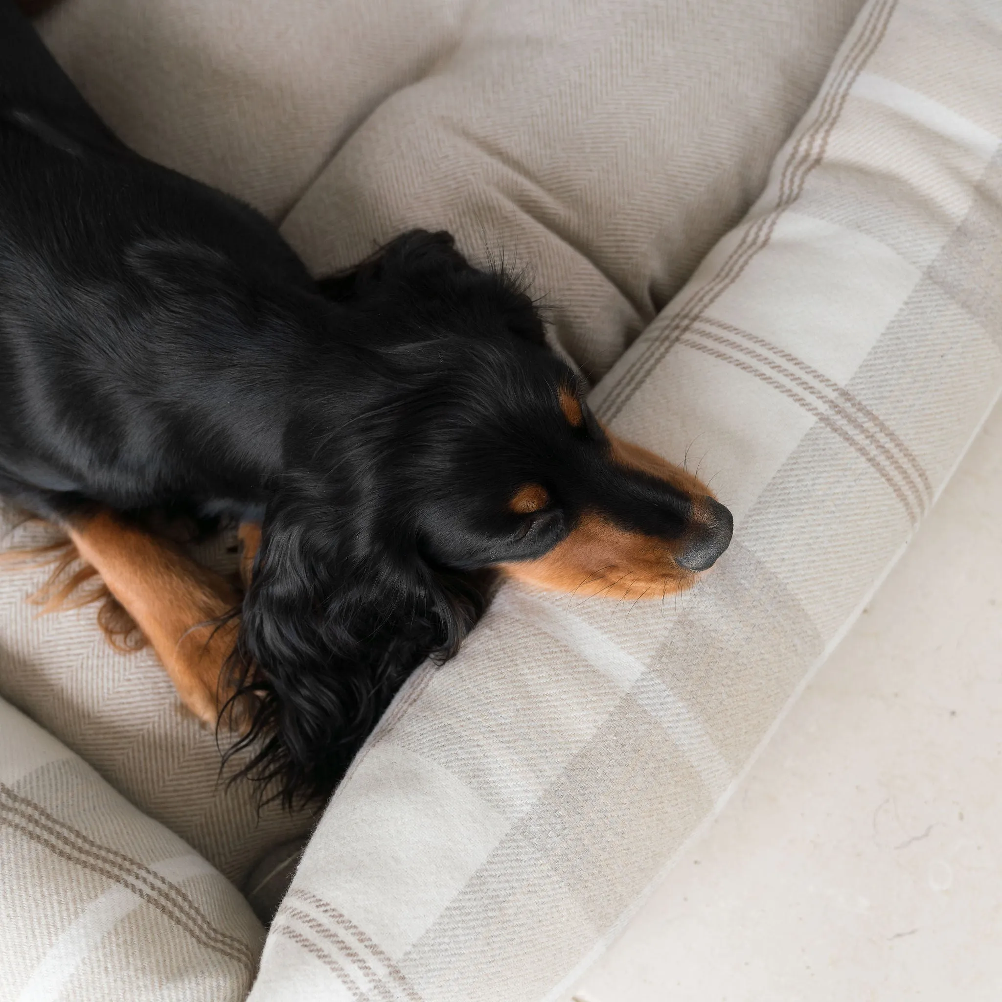 Box Bed in Balmoral Tweed by Lords & Labradors