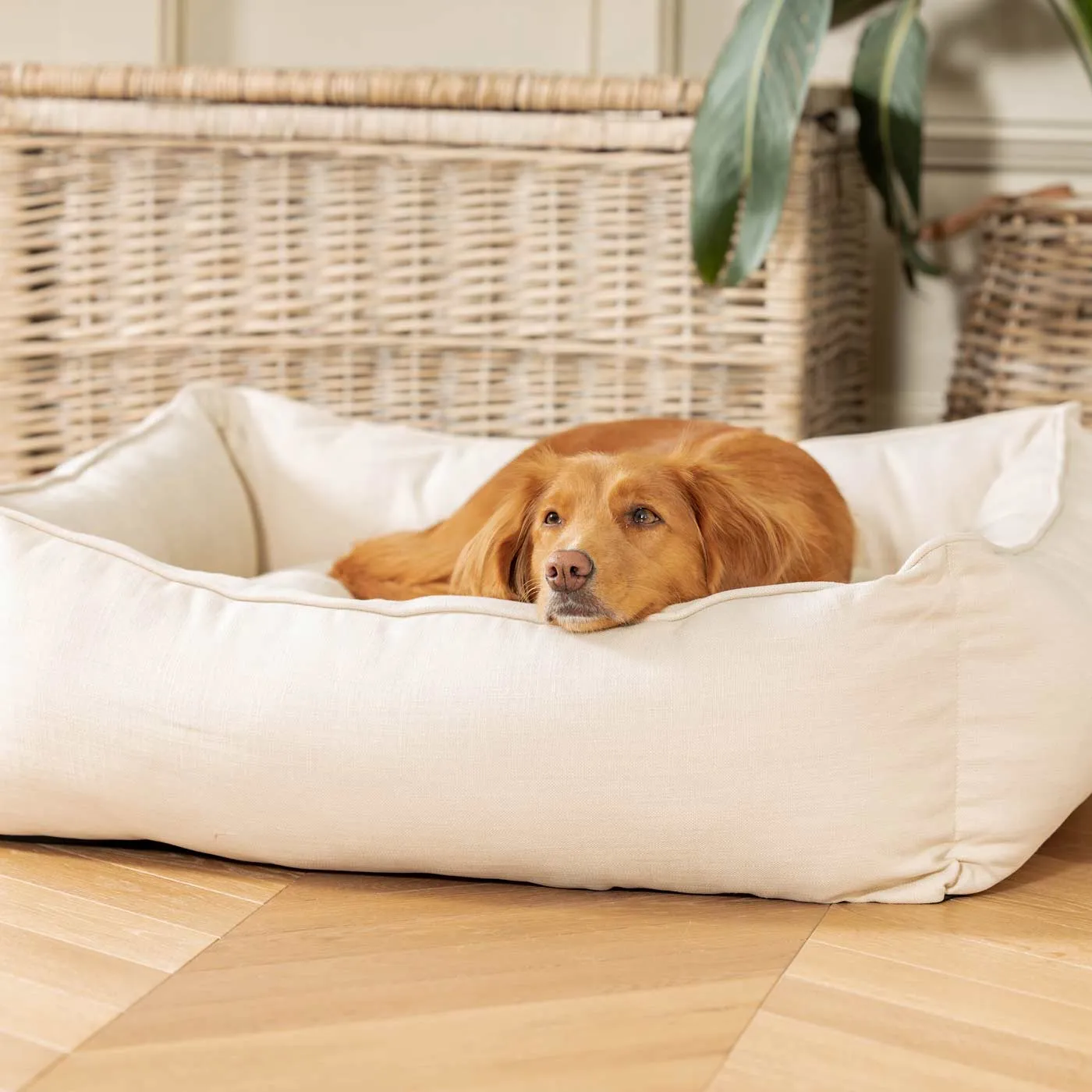 Box Bed With Removable Covers in Savanna Bone by Lords & Labradors