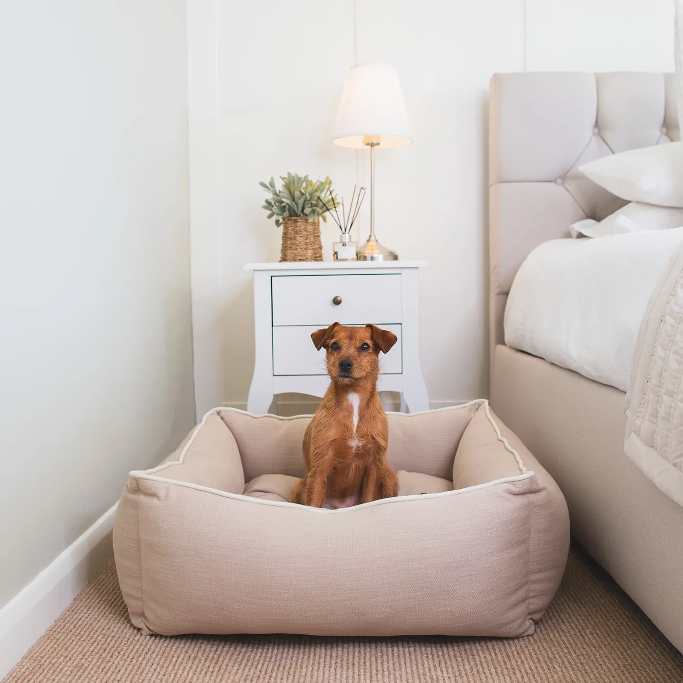 Box Bed With Removable Covers in Savanna Oatmeal by Lords & Labradors