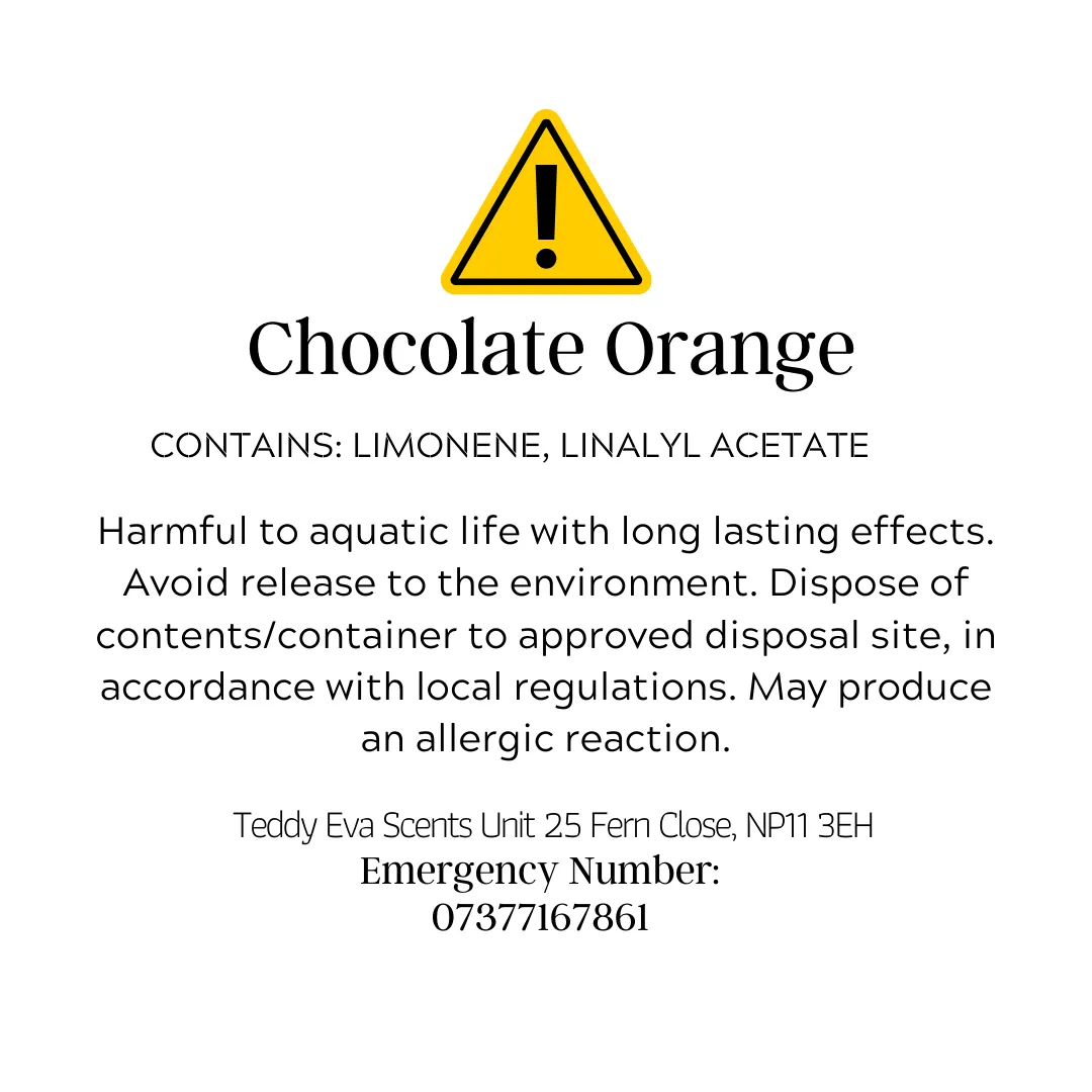 Chocolate Orange Teddy Clamshell