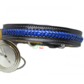 Color Braided Black Leather Dog Collar