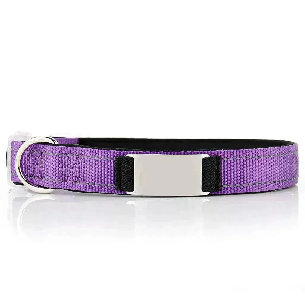 Customized Nylon Dog Collar