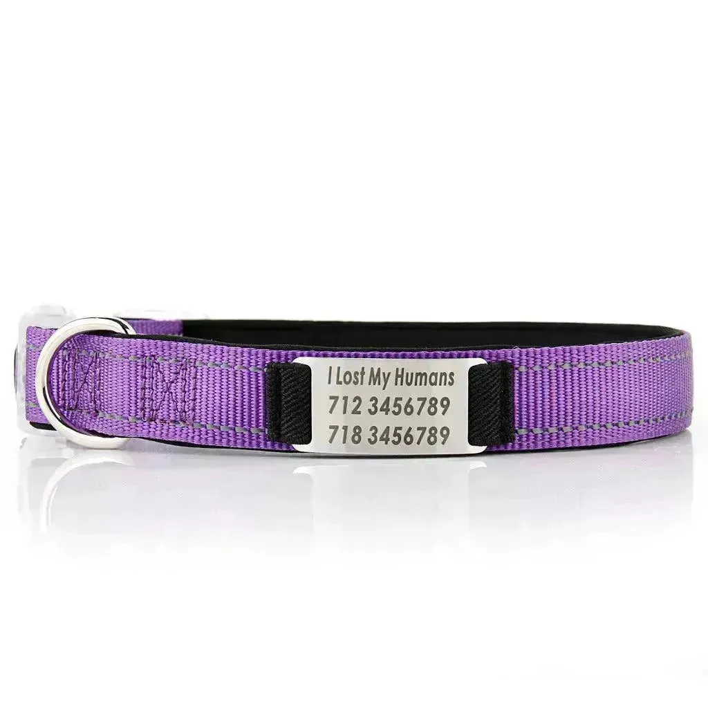 Customized Nylon Dog Collar