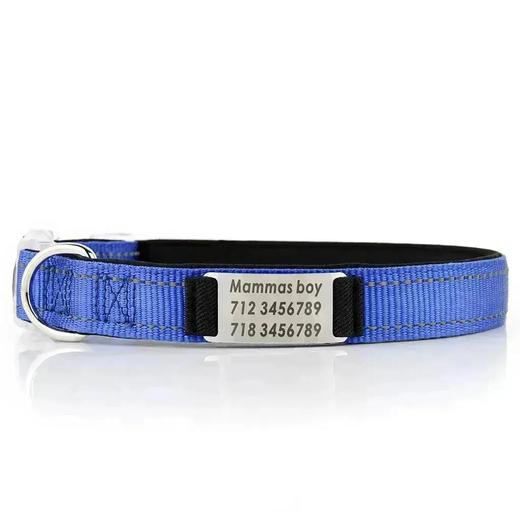 Customized Nylon Dog Collar