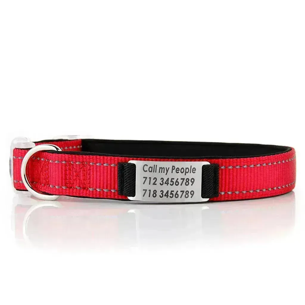 Customized Nylon Dog Collar