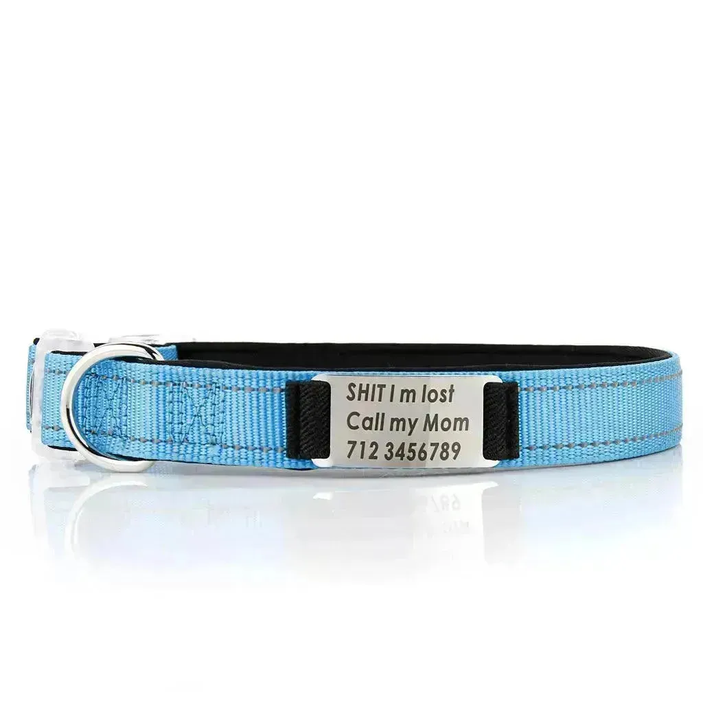 Customized Nylon Dog Collar