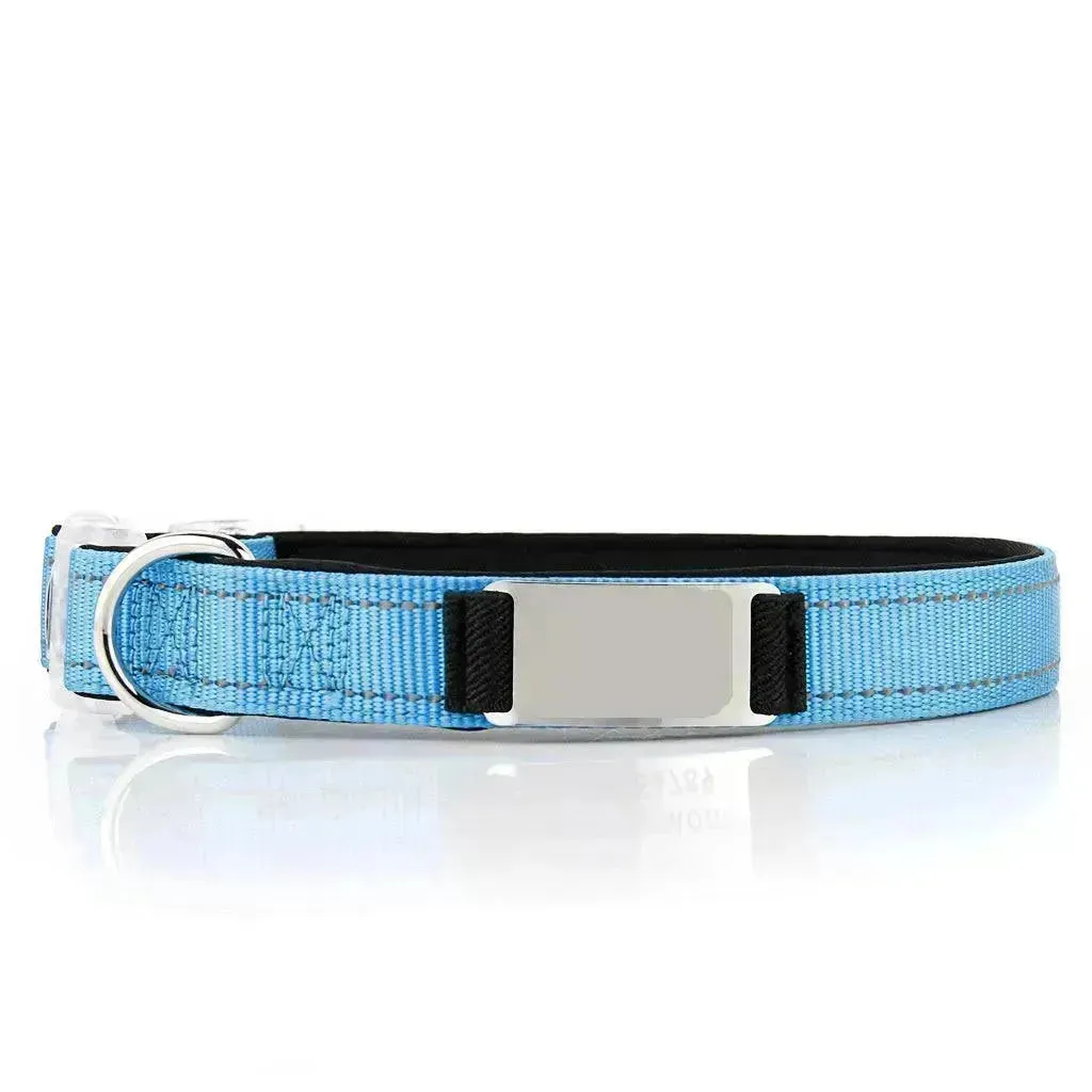 Customized Nylon Dog Collar