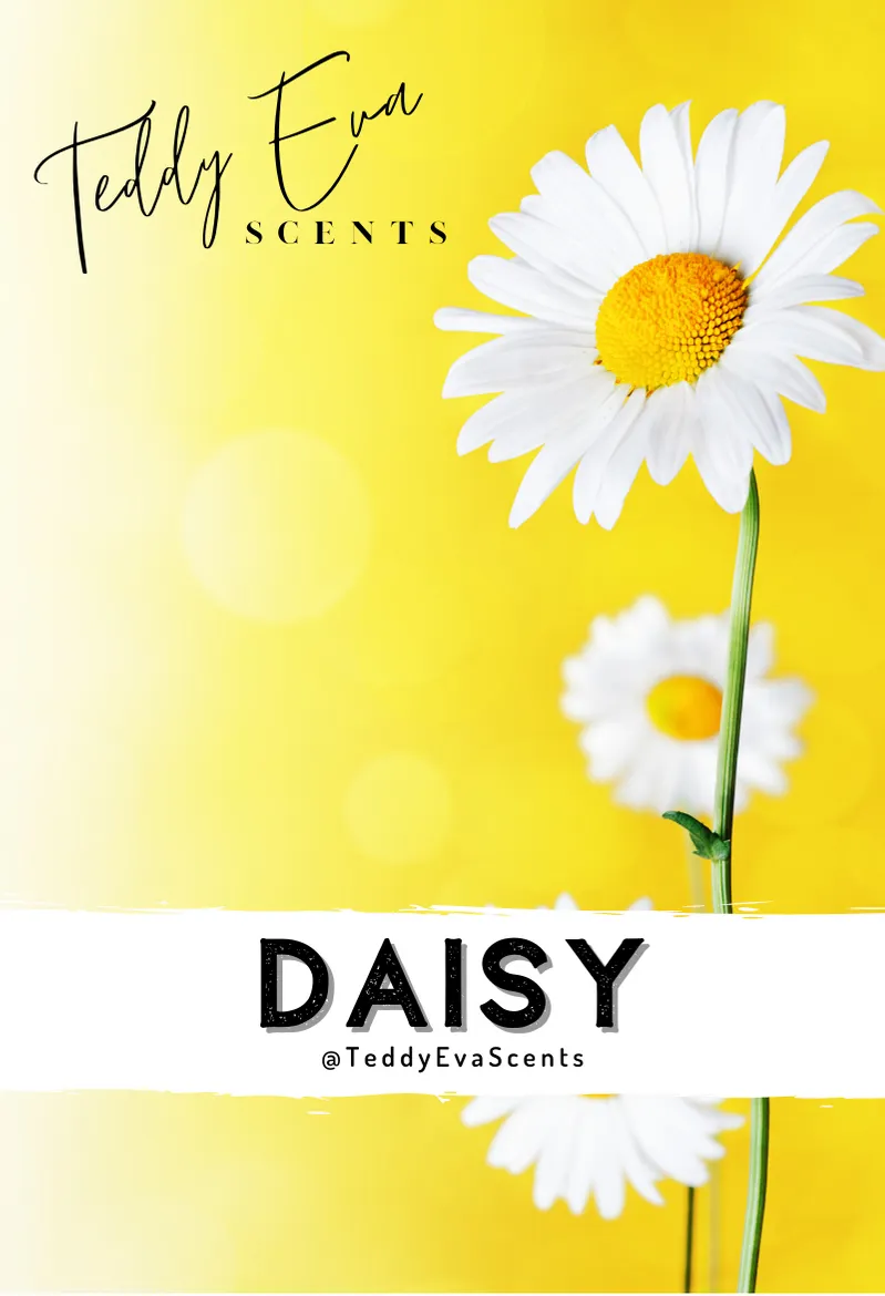 Daisy