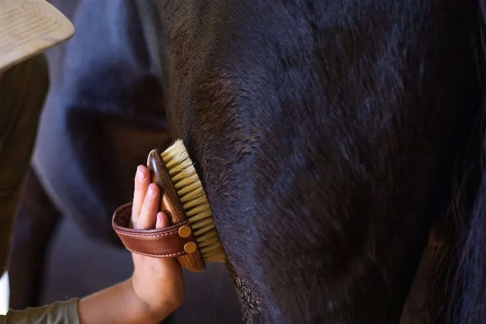 Hairy Pony Mud Brush