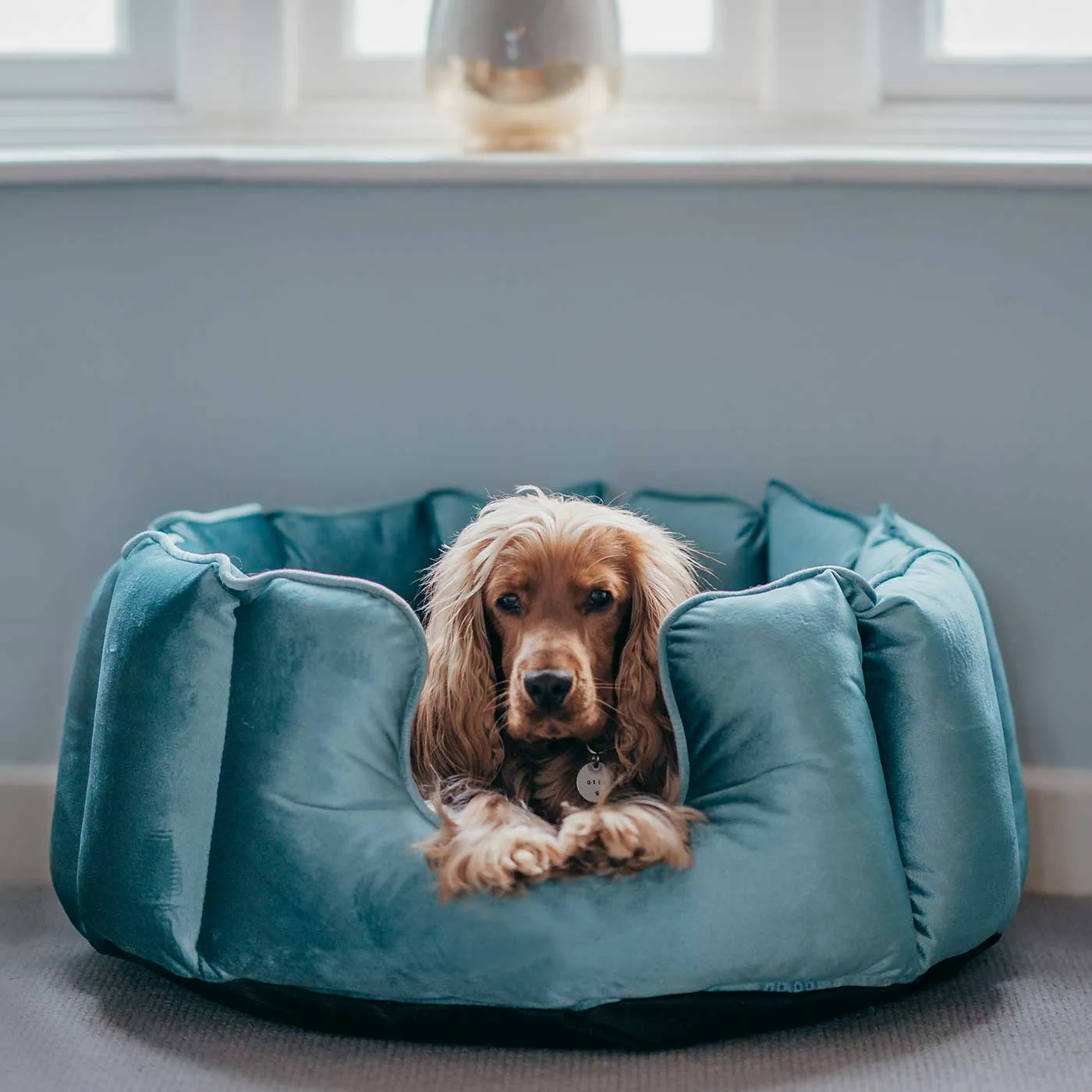 High Wall Bed For Dogs in Duck Egg Velvet by Lords & Labradors