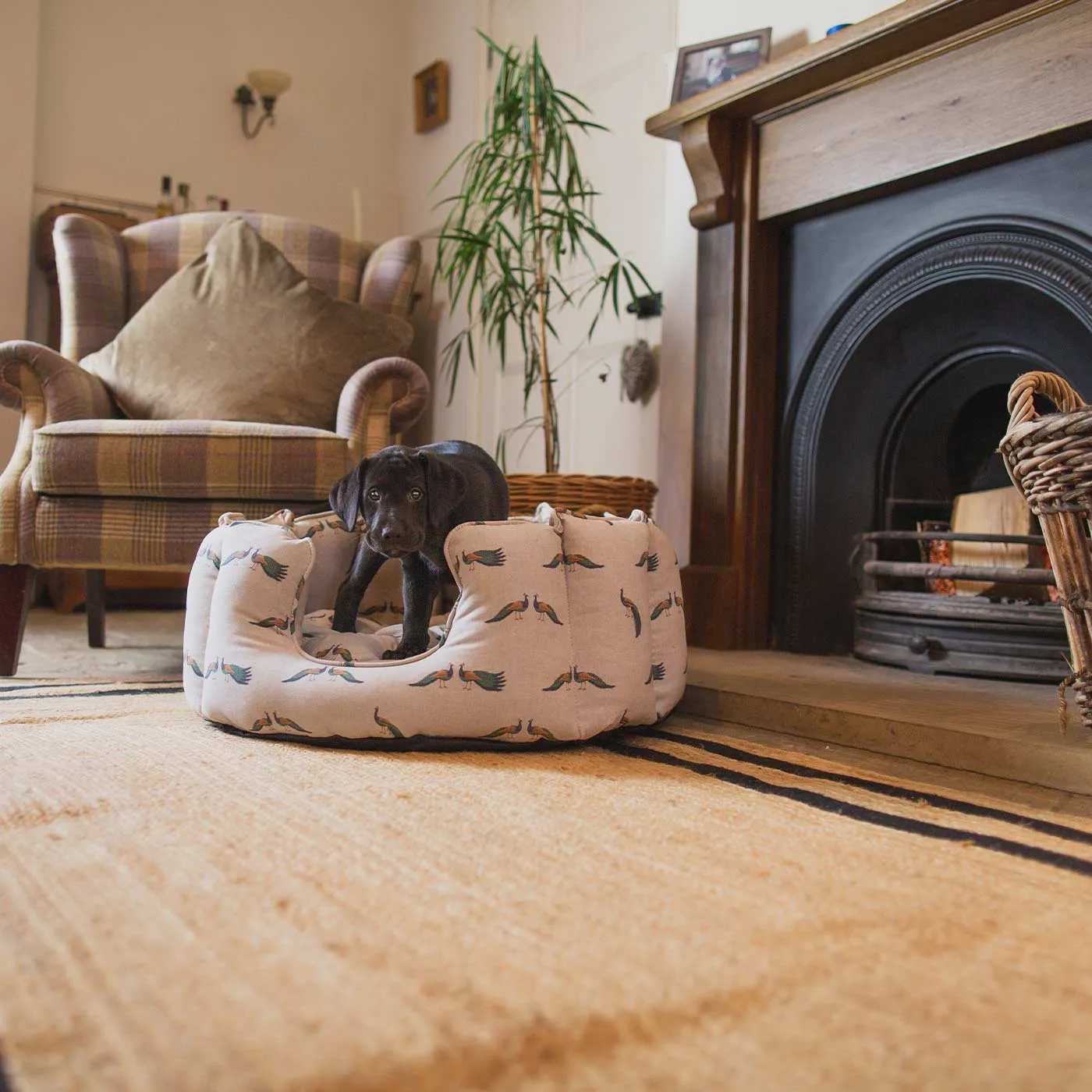 High Wall Bed For Dogs in Woodlands Peacock by Lords & Labradors