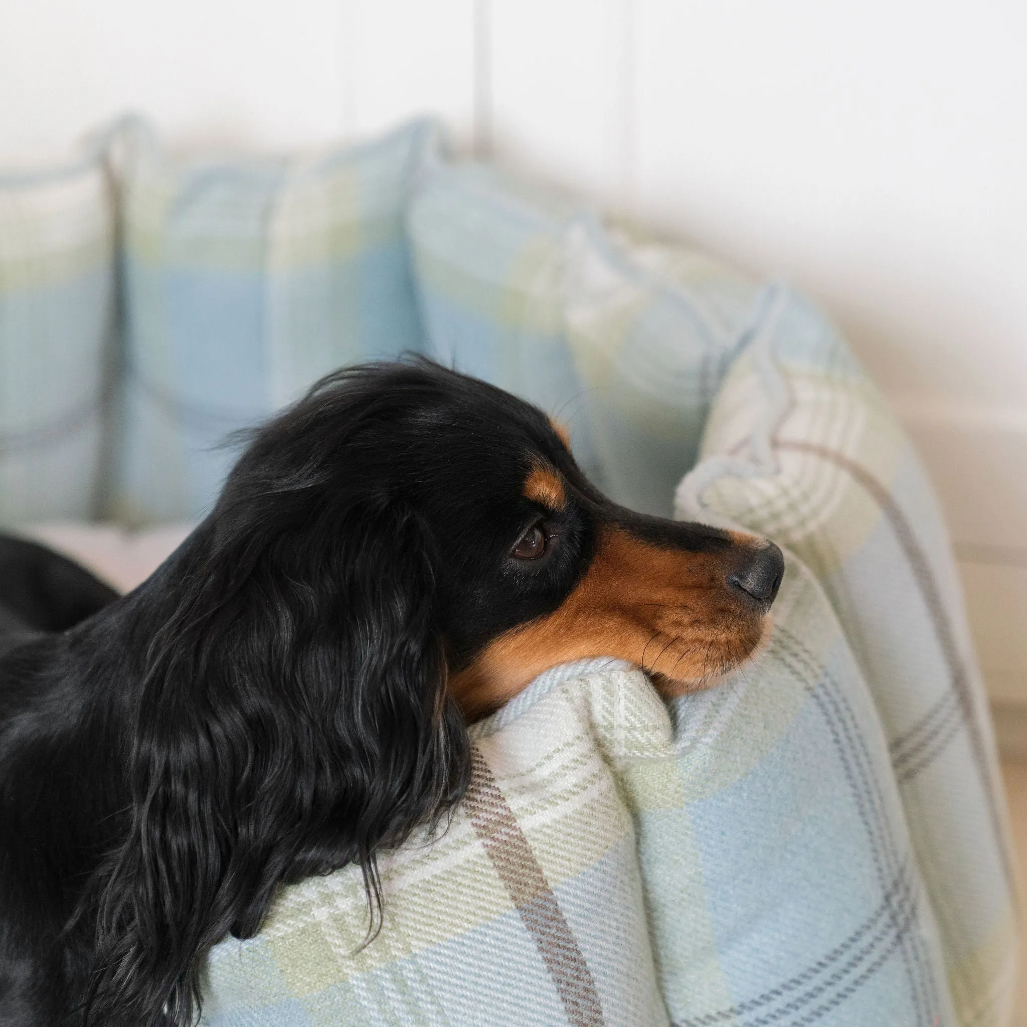 High Wall Bed in Balmoral Duck Egg Tweed by Lords & Labradors