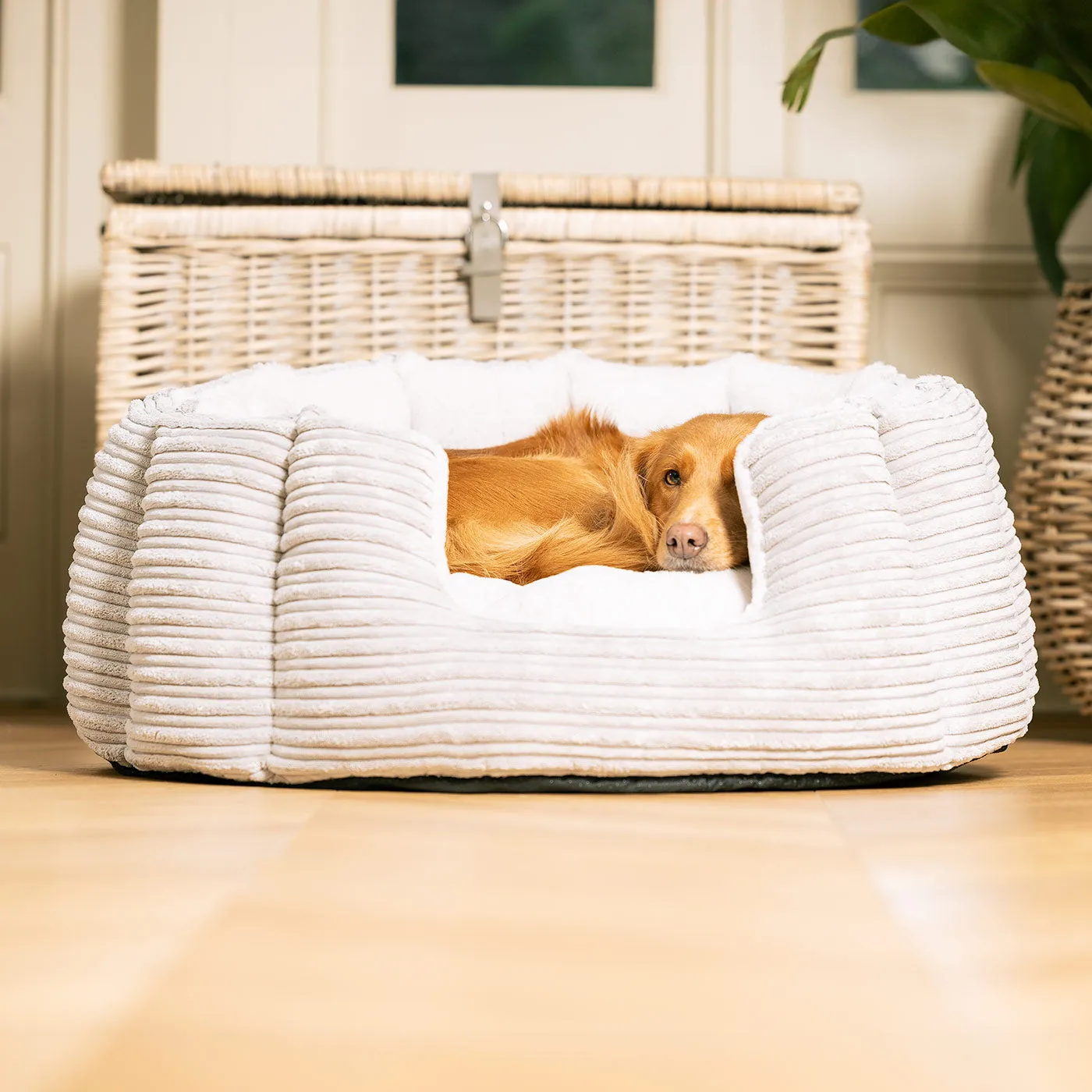 High Wall Bed in Essentials Light Grey Plush by Lords & Labradors