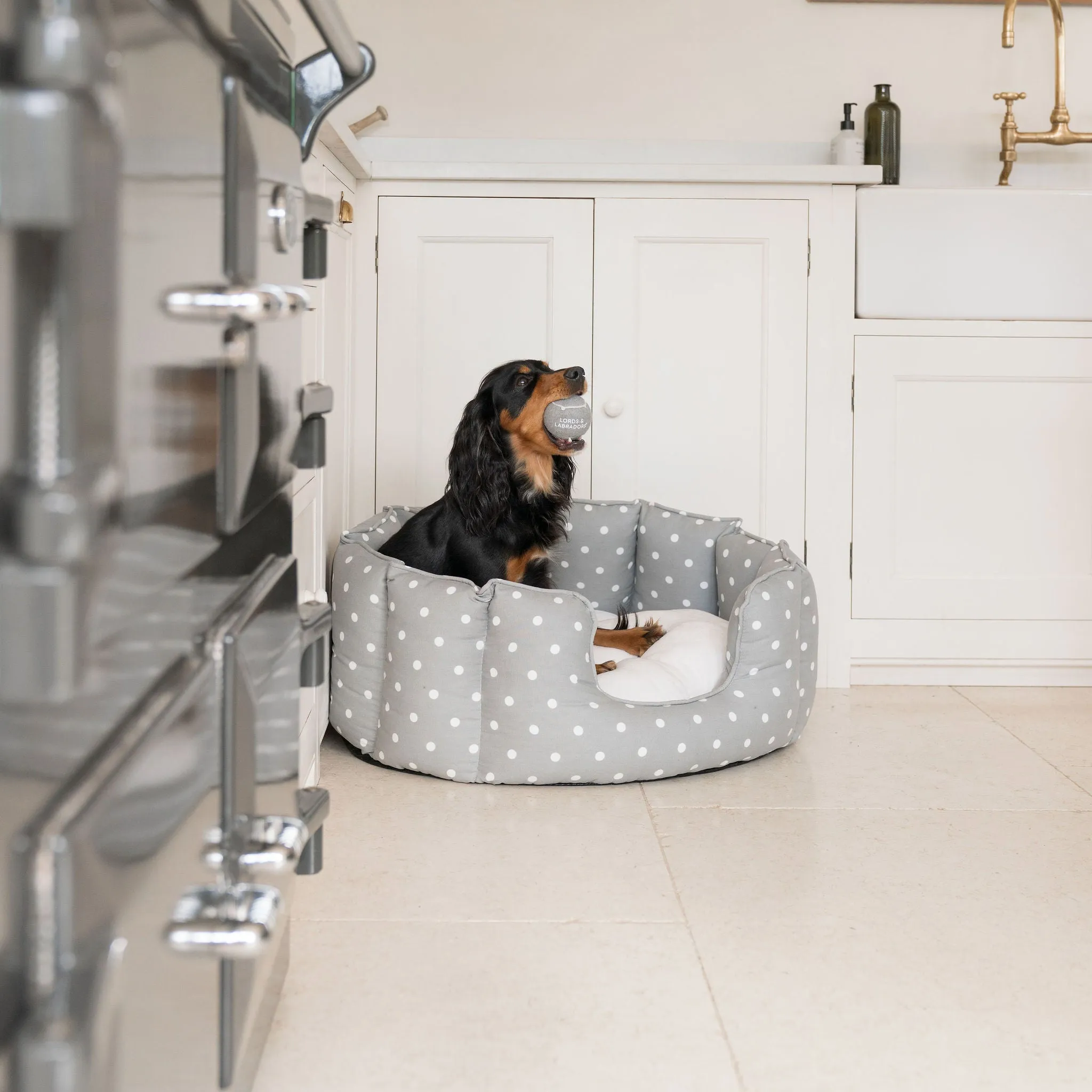 High Wall Bed in Grey Spot by Lords & Labradors