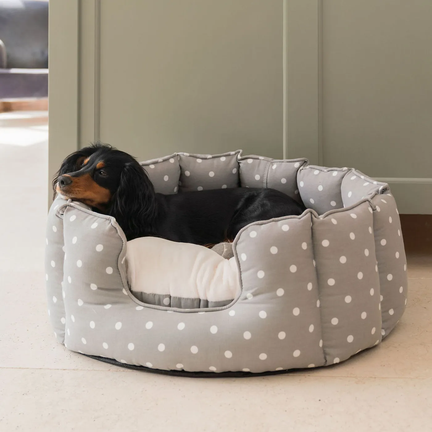 High Wall Bed in Grey Spot by Lords & Labradors