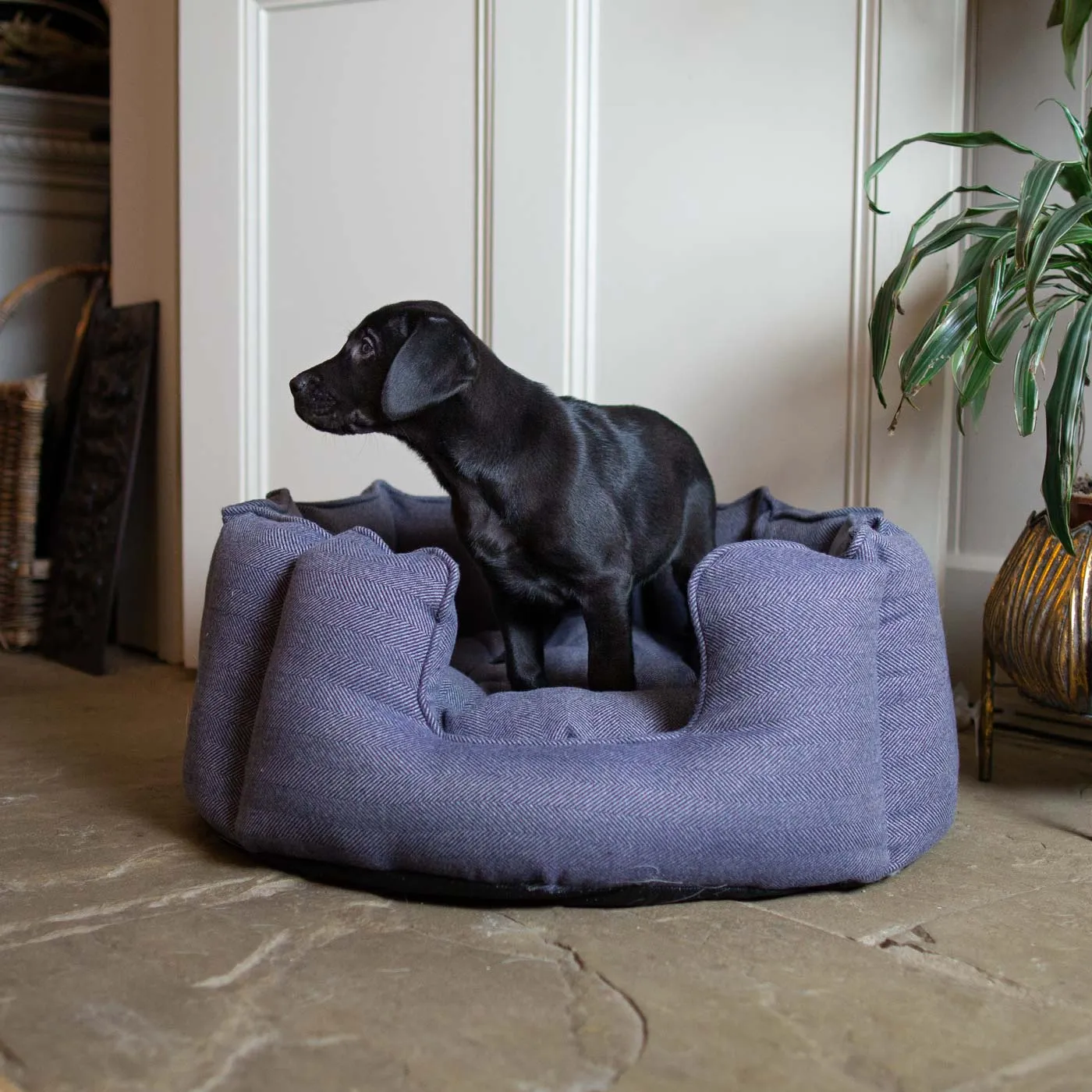 High Wall Bed in Oxford Herringbone Tweed by Lords & Labradors