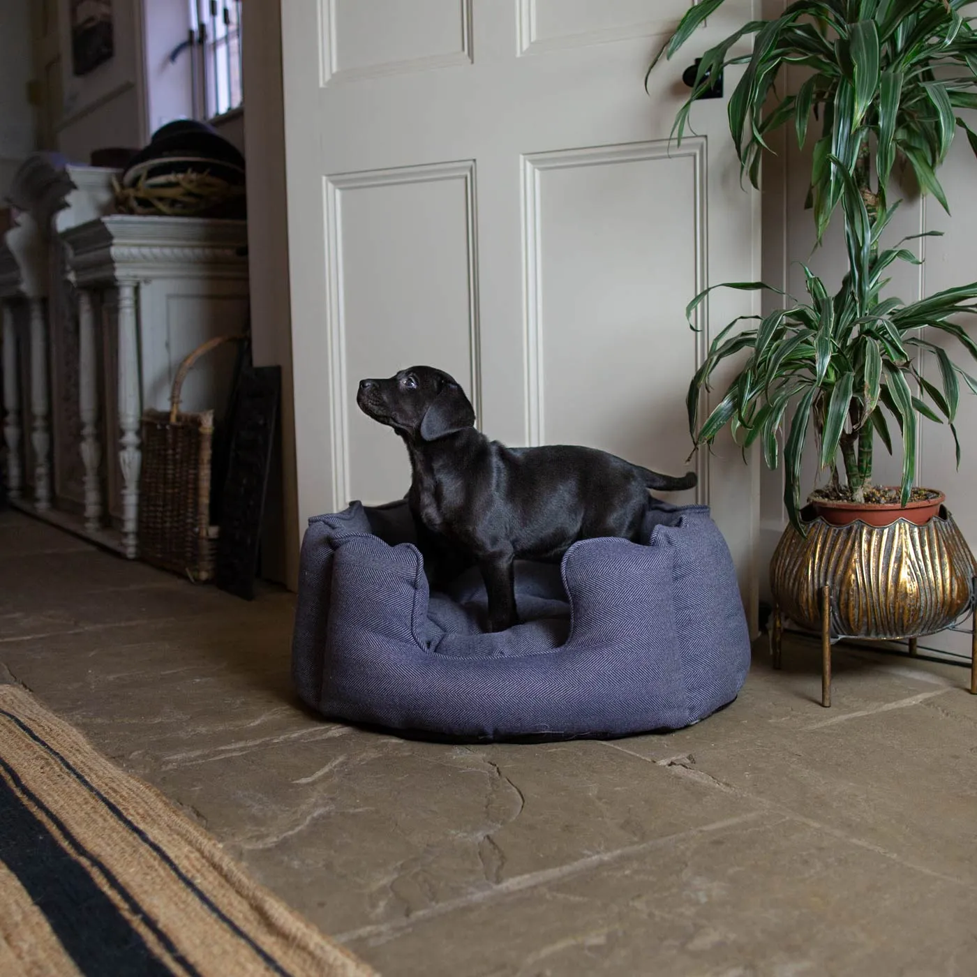 High Wall Bed in Oxford Herringbone Tweed by Lords & Labradors