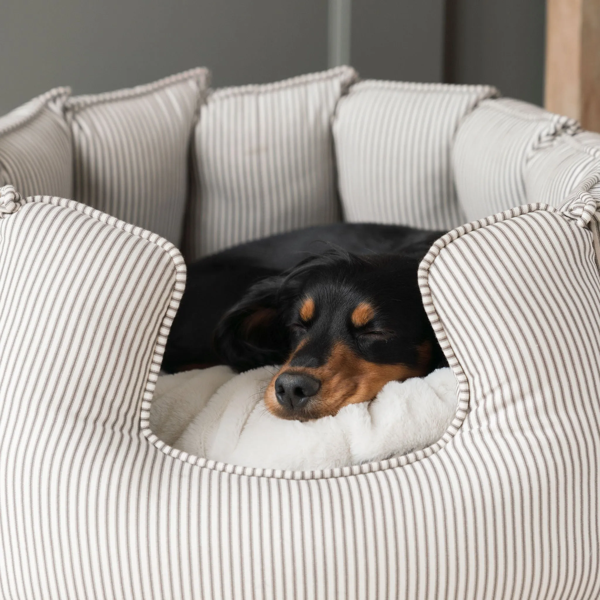 High Wall Bed in Regency Stripe by Lords & Labradors