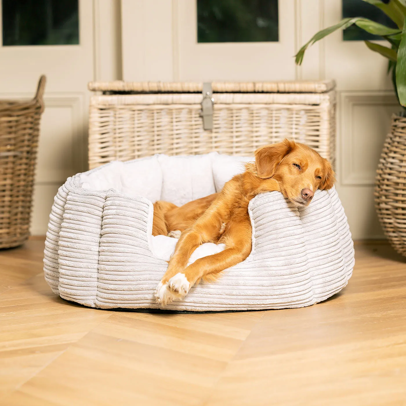 High Wall Bed With Removable Covers in Essentials Light Grey Plush by Lords & Labradors