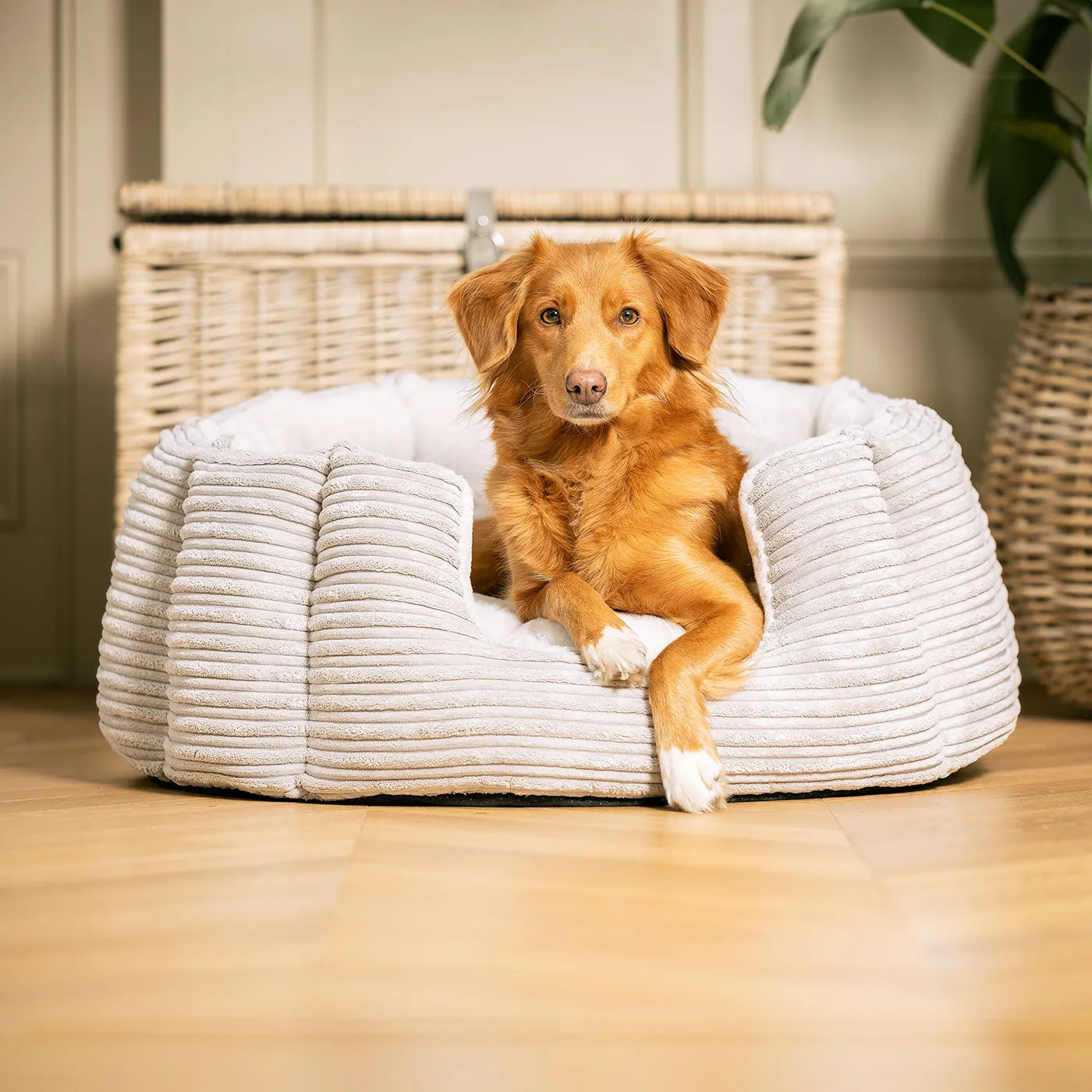 High Wall Bed With Removable Covers in Essentials Light Grey Plush by Lords & Labradors