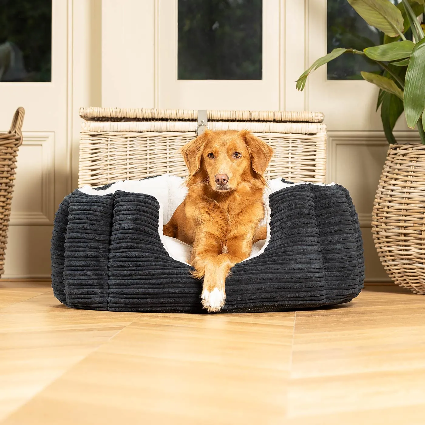 High Wall Bed With Removable Covers in Essentials Navy Plush by Lords & Labradors