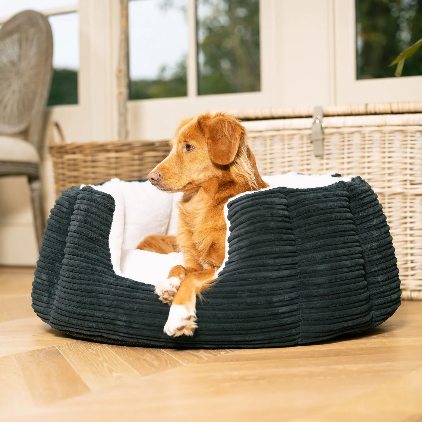 High Wall Bed With Removable Covers in Essentials Navy Plush by Lords & Labradors