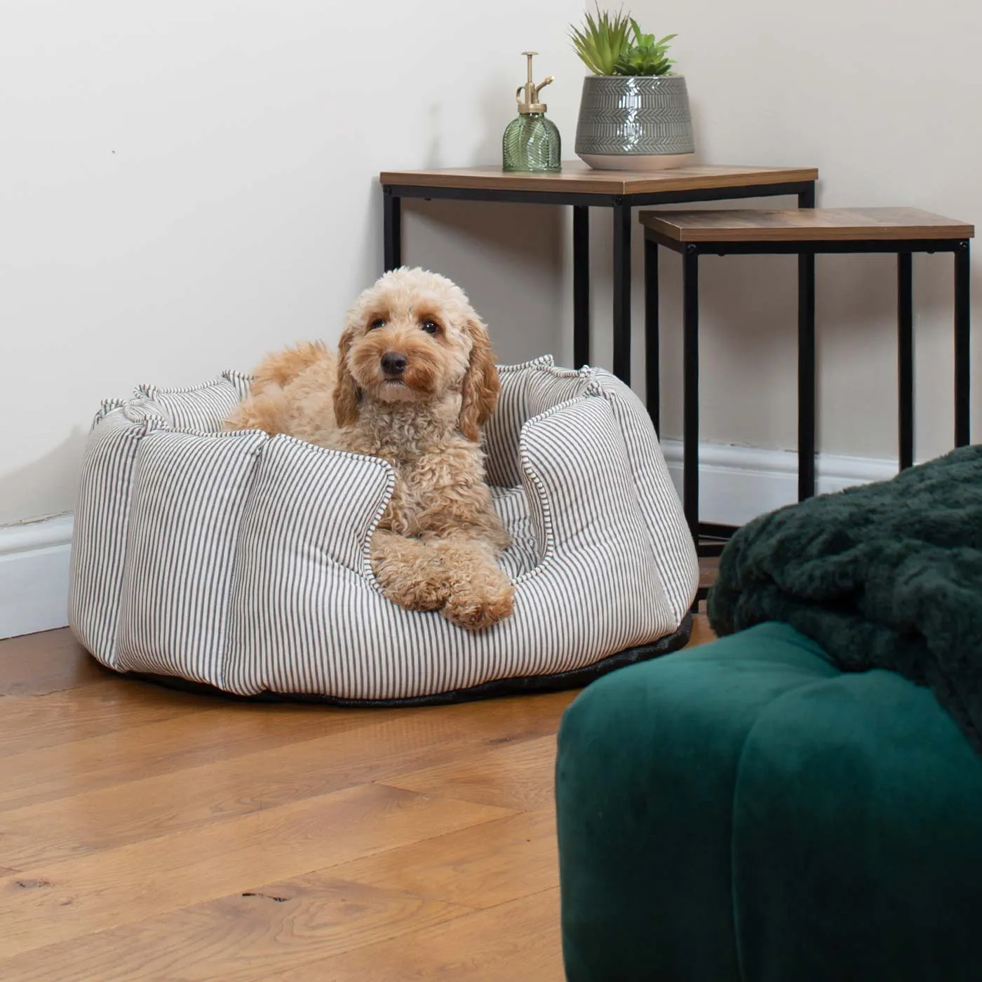 High Wall Bed With Removable Covers in Regency Stripe by Lords & Labradors