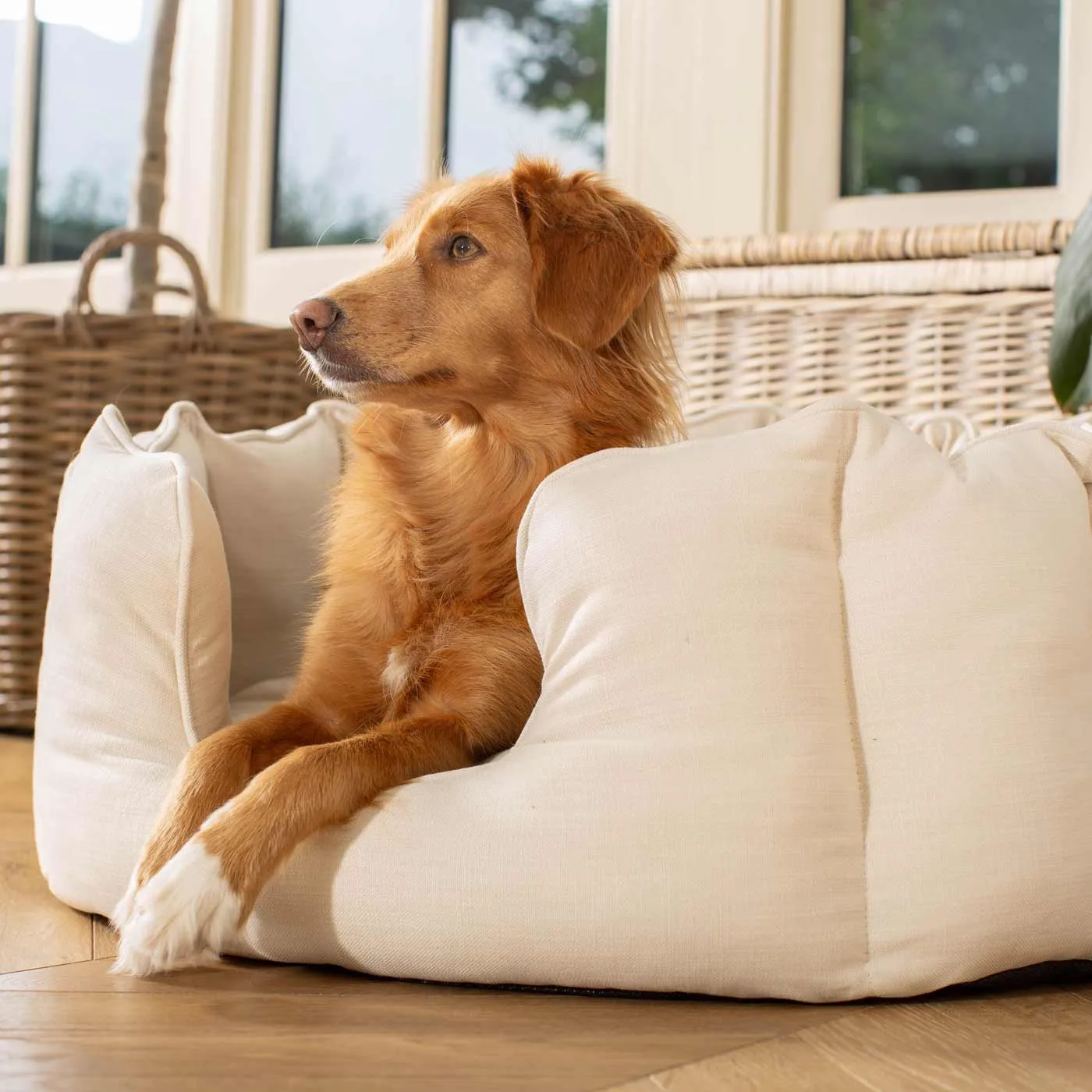 High Wall Bed With Removable Covers in Savanna Bone by Lords & Labradors