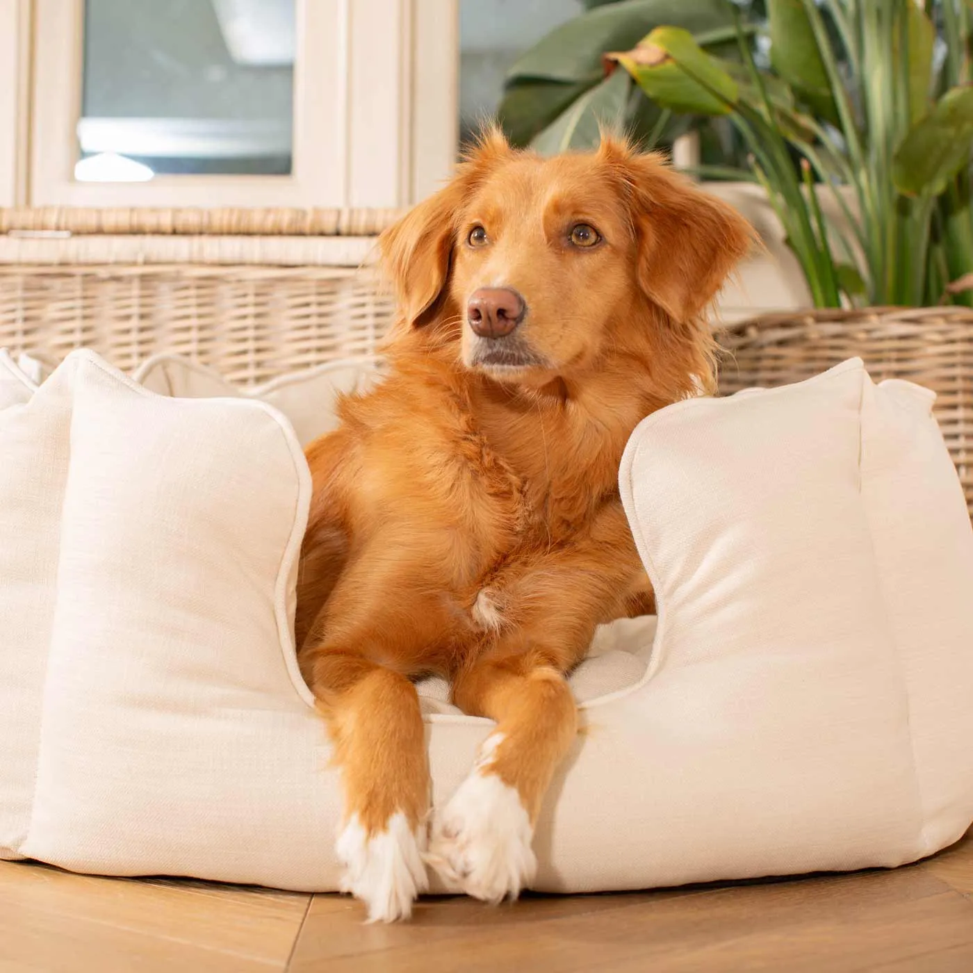 High Wall Bed With Removable Covers in Savanna Bone by Lords & Labradors