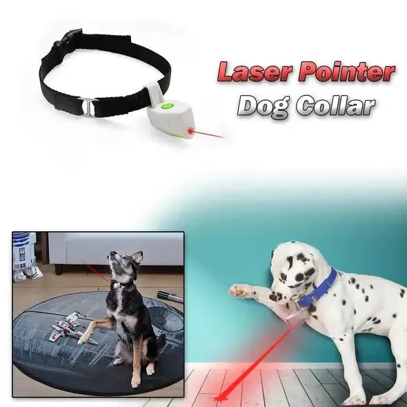 Laser Pointer Pet Pet Collar