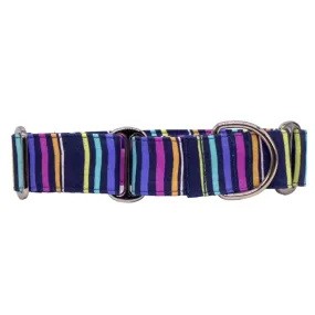 Martingale Collar - Allsorts of Joy