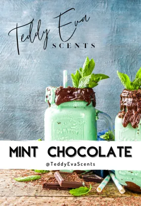 Mint Chocolate Teddy Clamshell