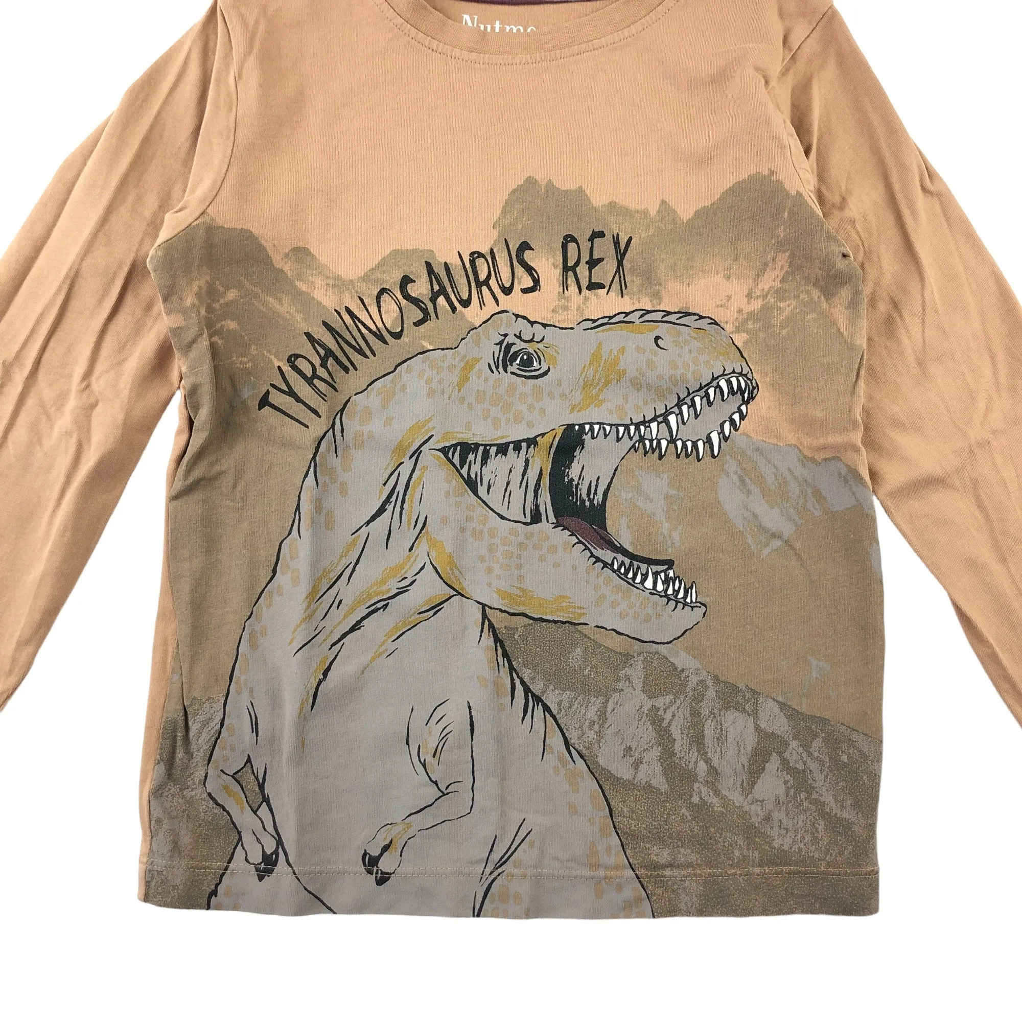 Nutmeg t-shirt 5-6 years brown Tyrannosaurus Rex print long sleeve cotton