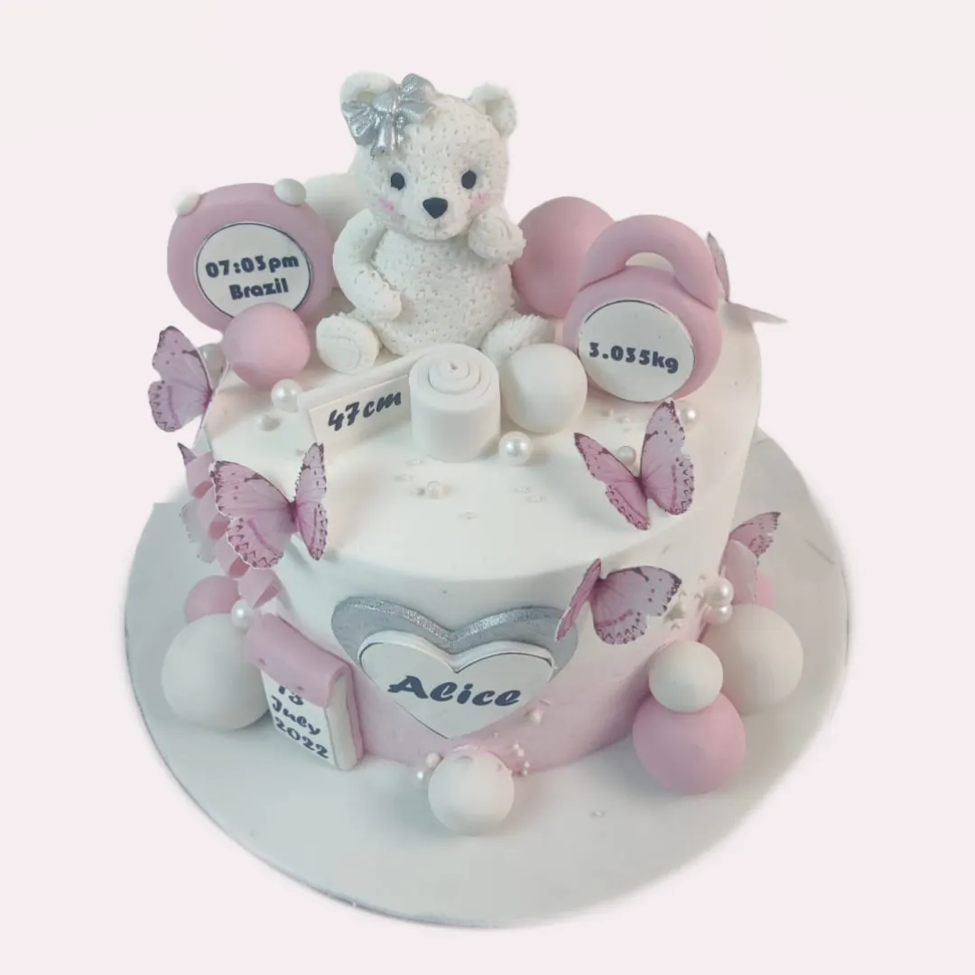 Ombre pastel pink Teddy