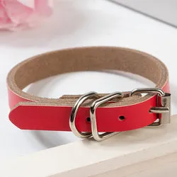 PAWS ASIA Factory Direct Sale Hot Sale Adjustable Vegan Cowhide Leather Plain Color Dog Collar