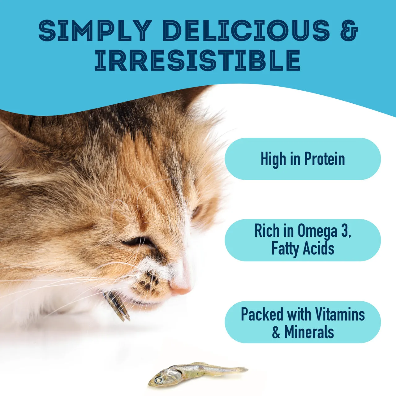 Pet Treatery Premium Dehydrated Sardine Treats for Dogs and Cats