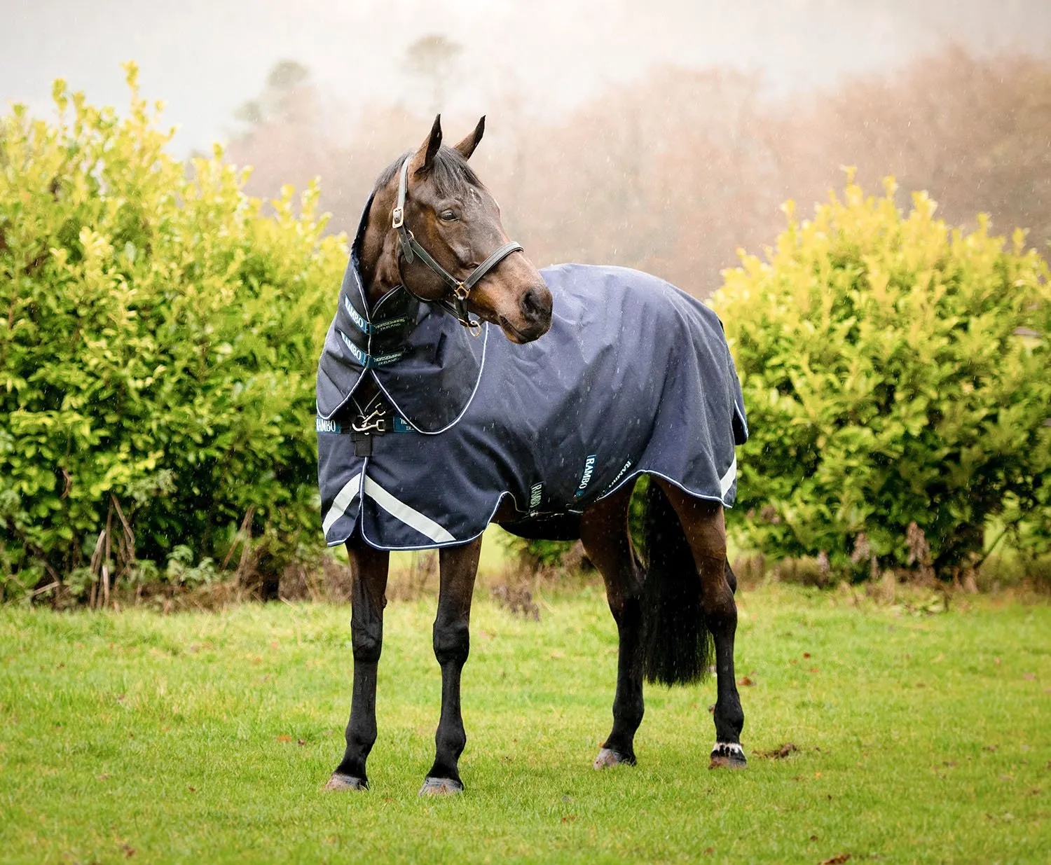 Rambo Duo Force Turnout Blanket, 100 Gram Outer with 100 Gram & 300 Gram Liner, Navy