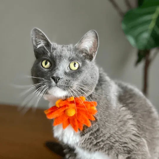 Removable Pet Collar Accessory- Felt Wool Flower-Orange