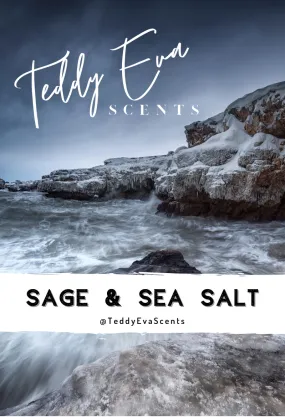 Sage & Sea Salt Teddy Clamshell