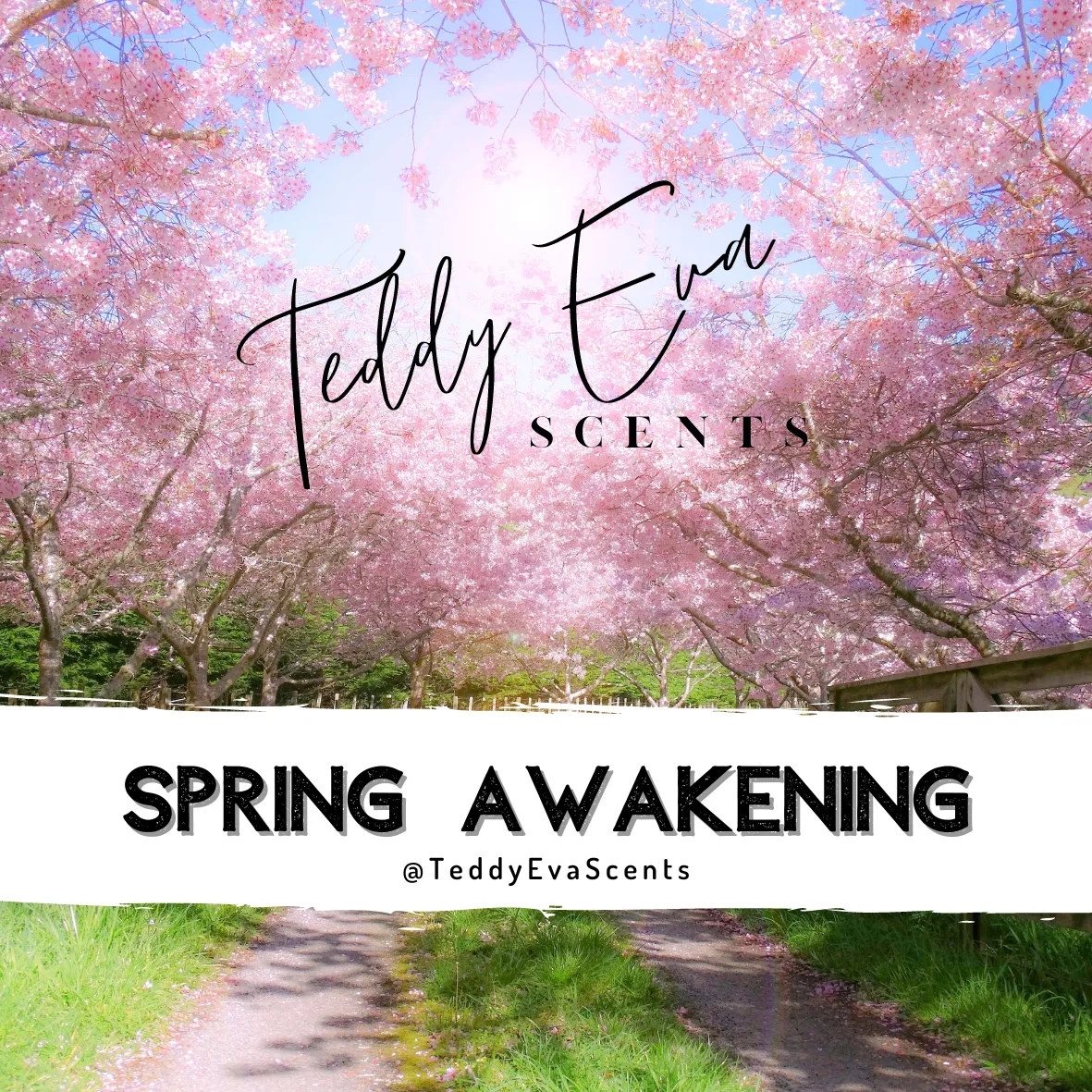 Spring Awakening