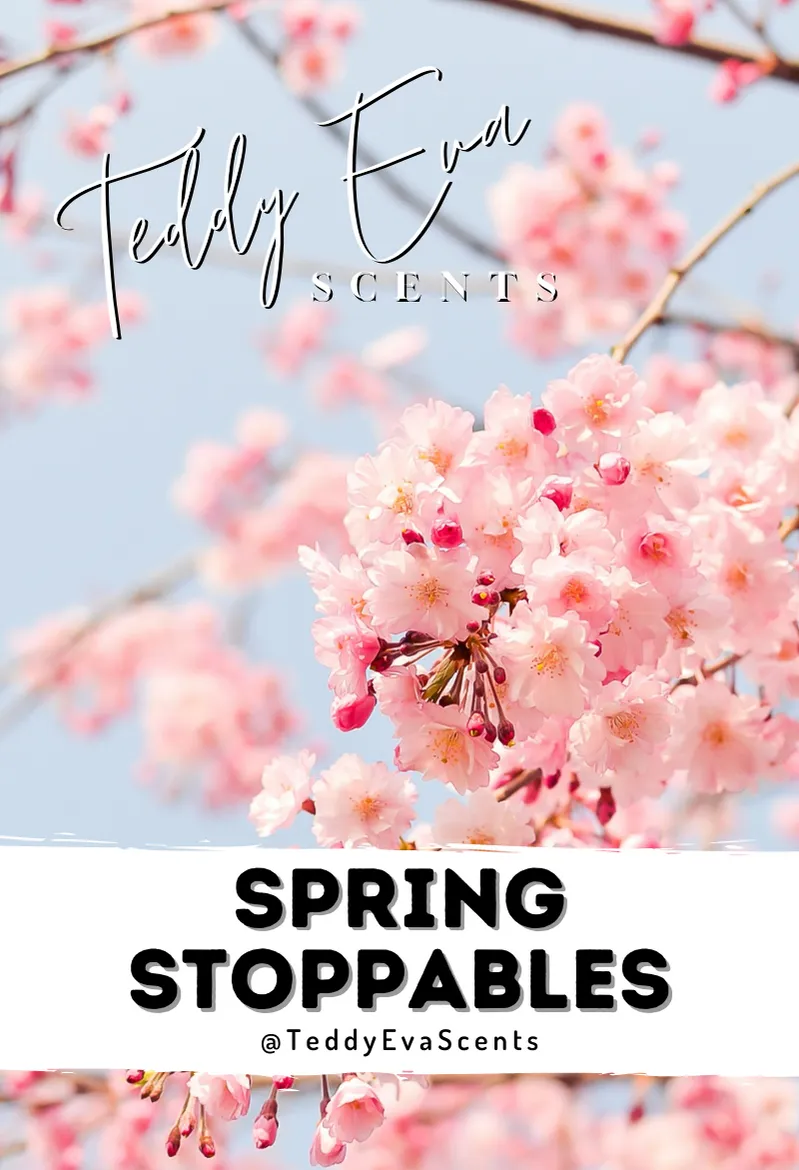 Spring Stoppables Teddy Pot