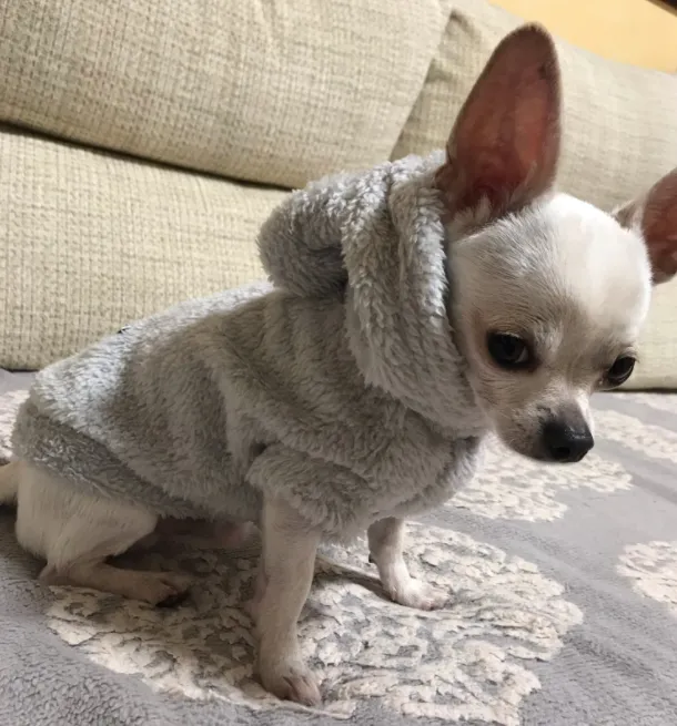 Super Soft Fuzzy Bunny Hoodie