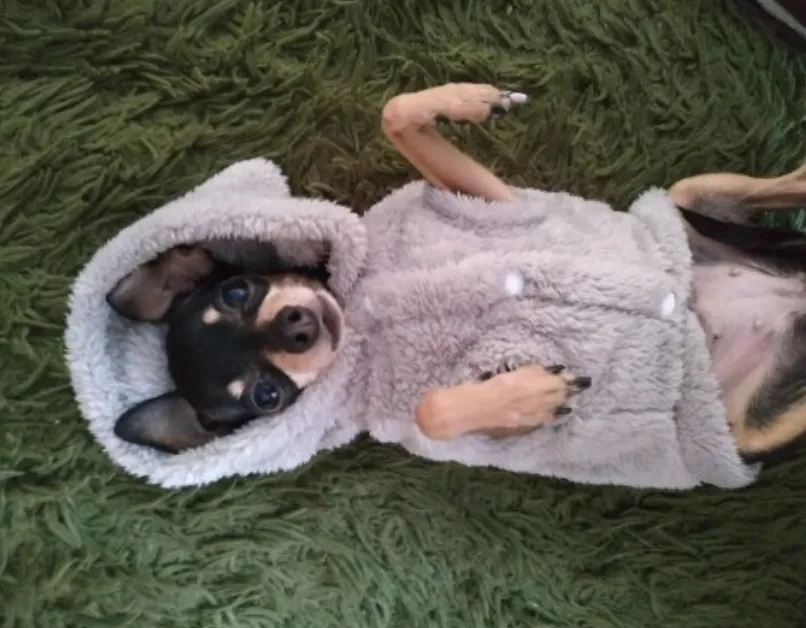 Super Soft Fuzzy Bunny Hoodie