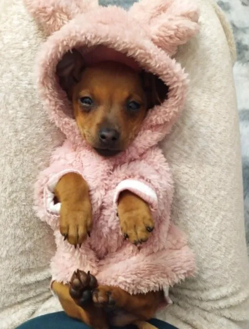 Super Soft Fuzzy Bunny Hoodie