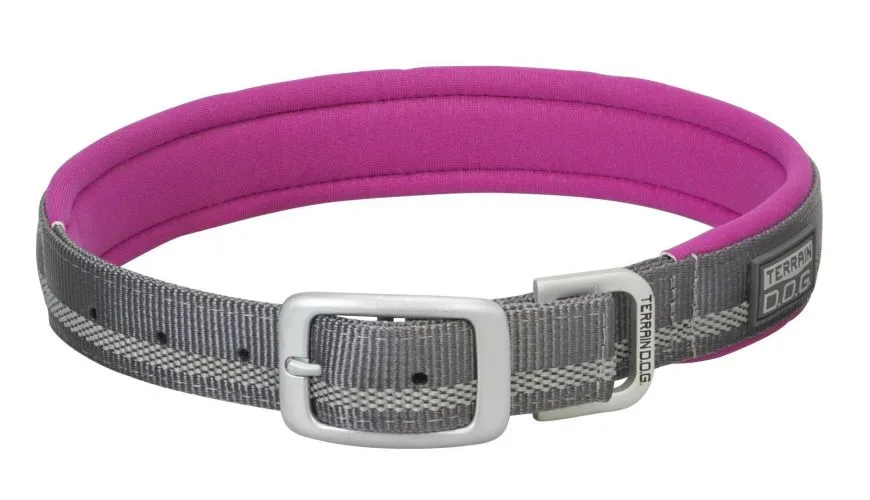 Terrain Dog Reflective Neoprene Lined Collar