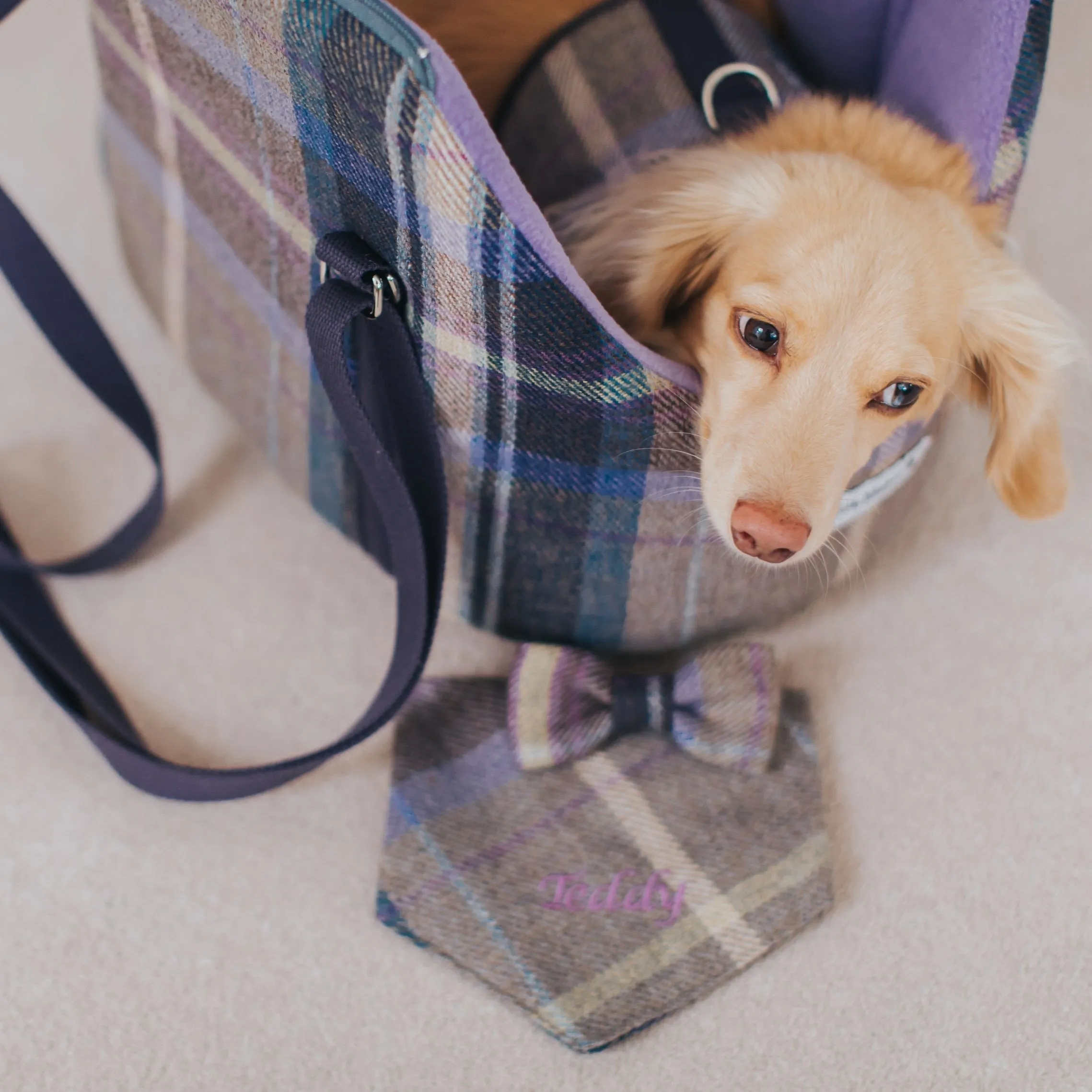 The Cambridge Dog Neckerchief