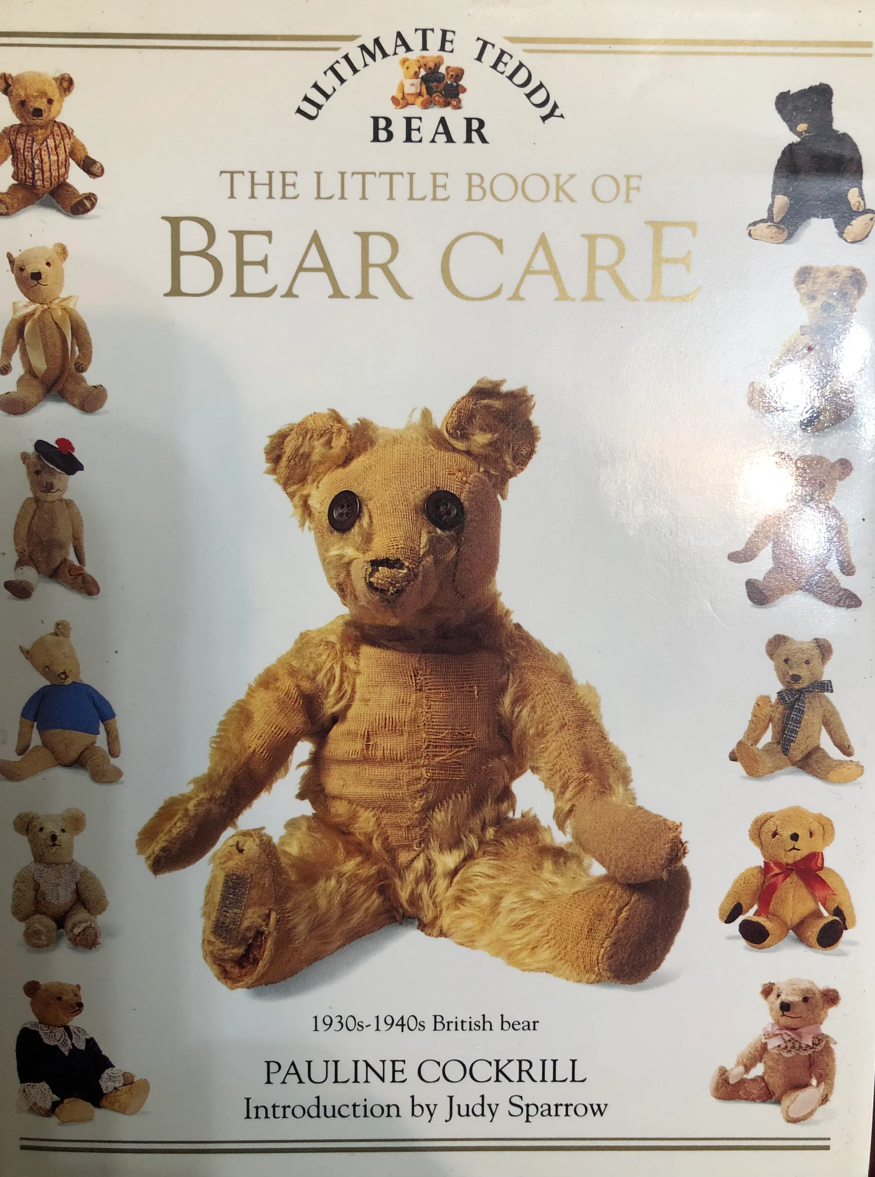 The Little Book of Bear Care